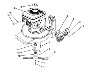 Engine Assembly