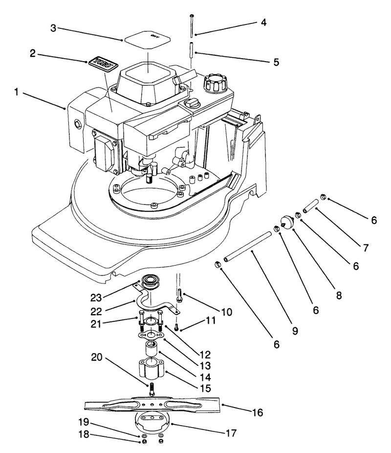 Engine Assembly