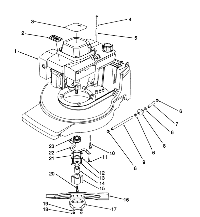 Engine Assembly
