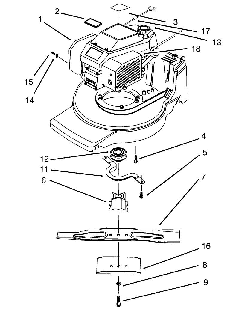 Engine Assembly
