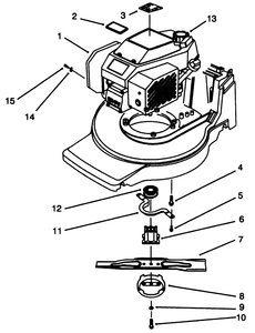 Engine Assembly