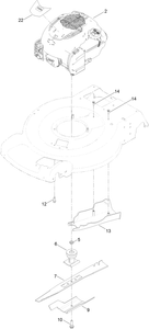 Engine and Blade Assembly