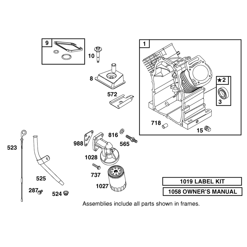 Cylinder Oil Filter and Dipstick Assembly Briggs and Stratton 303447-1314-E1