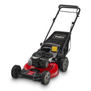 Toro 21321 21 in. Recycler® Self-Propel Gas Lawn Mower