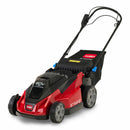 Toro 21620 60V MAX* 21 in. Stripe® Self-Propel Lawn Mower with 5Ah Battery and Charger