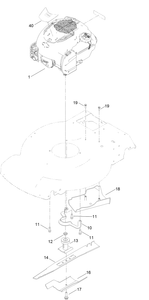 Engine and Blade Assembly