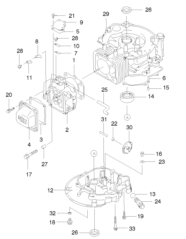 Cylinder And Crankcase Assembly