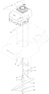 Engine Assembly