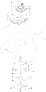 Engine Assembly