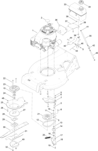 Engine Assembly