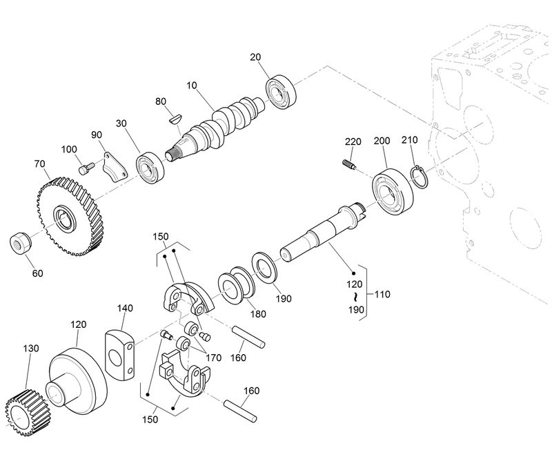Fuel Camshaft and Governor Shaft Assembly