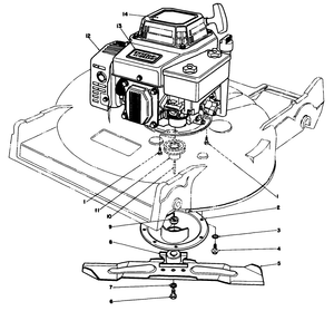 Engine Assembly