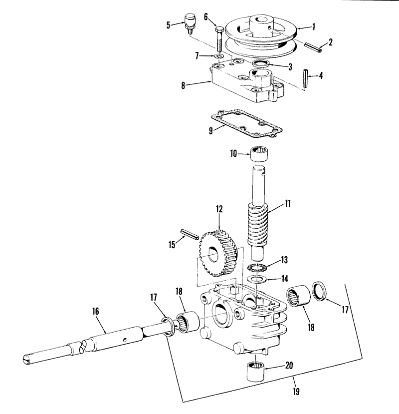 25in and 34in Gear Case Assembly