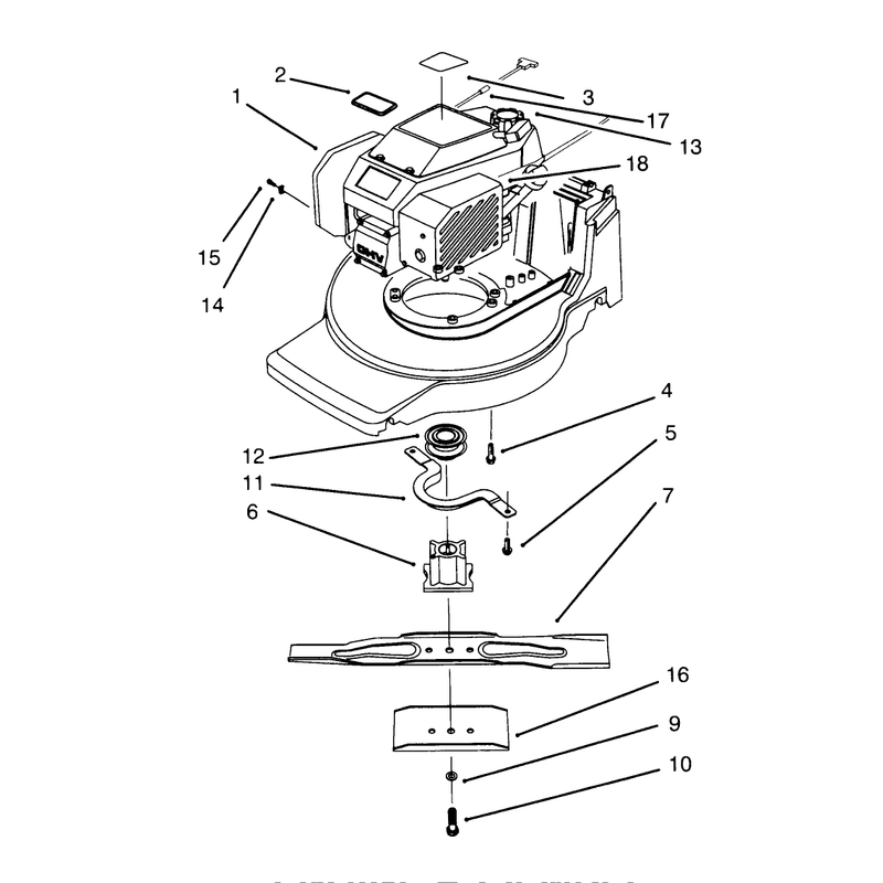 Engine Assembly