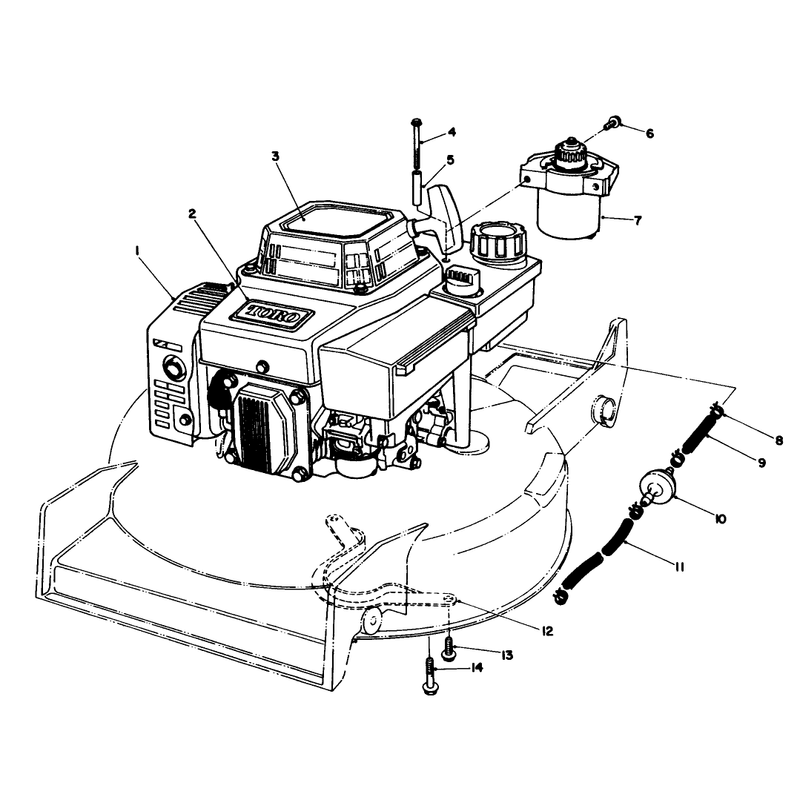 Engine Assembly