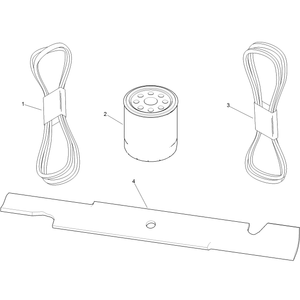 MVP Filter Belt and Blade Kit No 127-1619