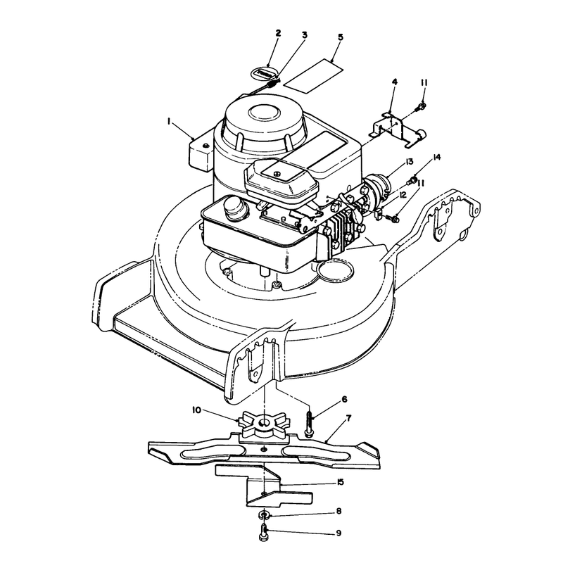 Engine Assembly