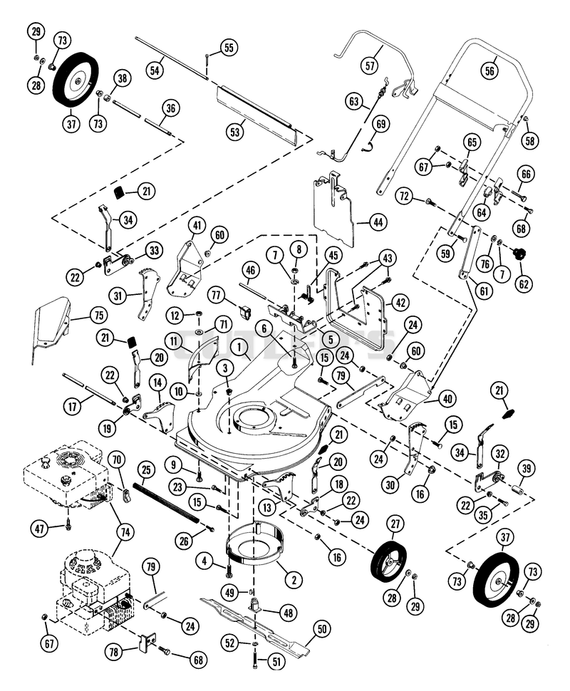 Push Mower 21"