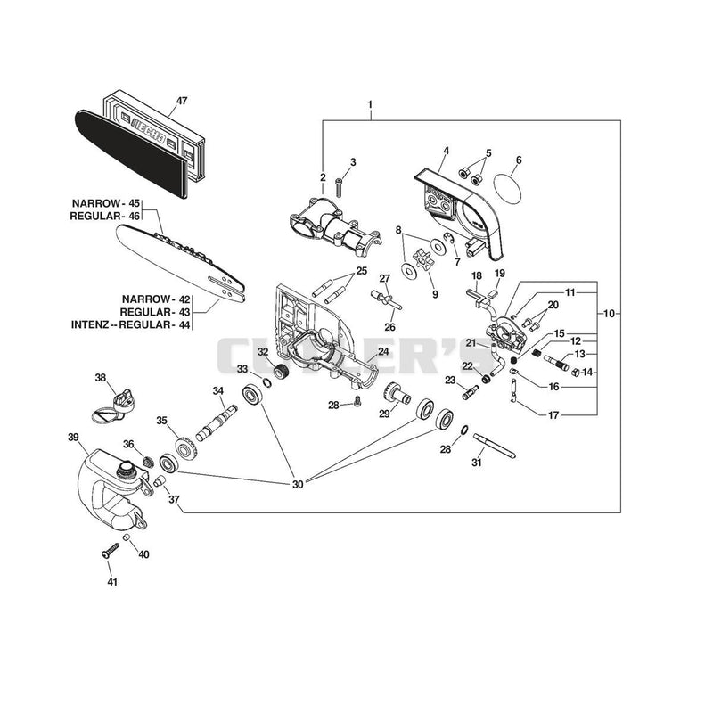 GEAR CASE, AUTO-OILER, GUIDE BAR, CHAIN