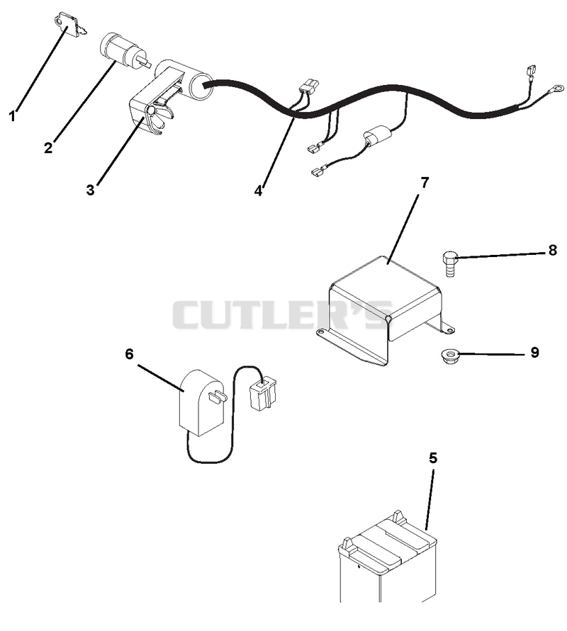 Electrical Harness And Battery