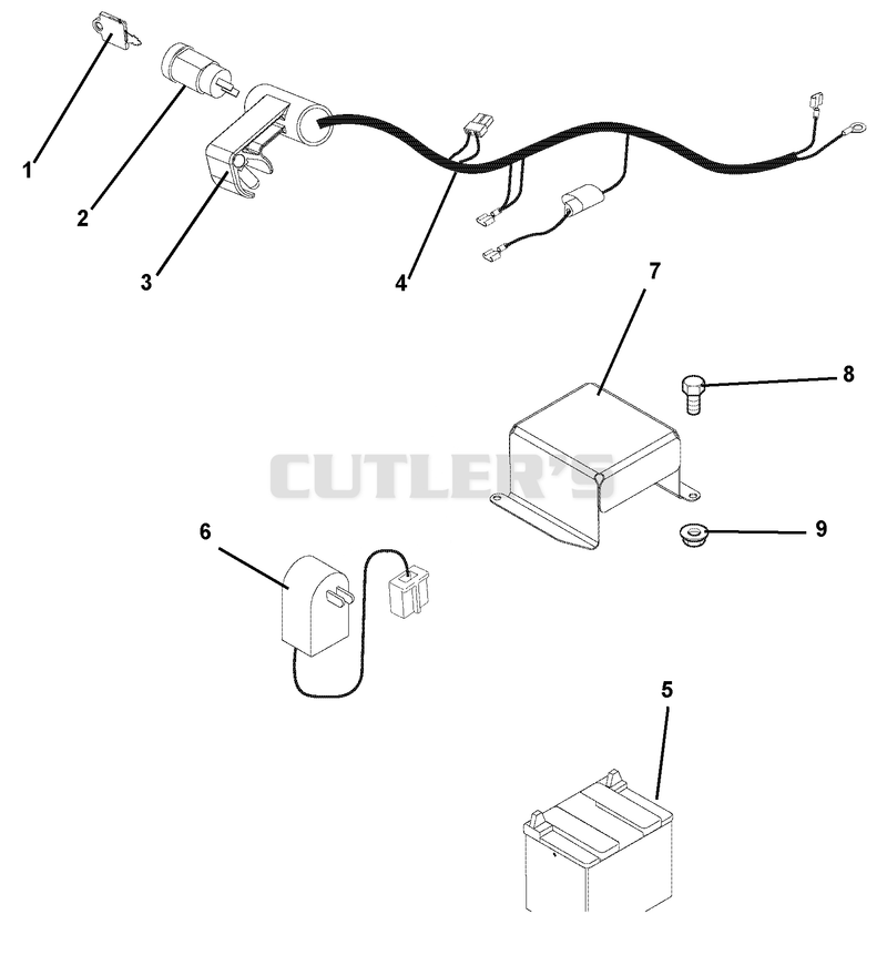 Electrical Harness And Battery