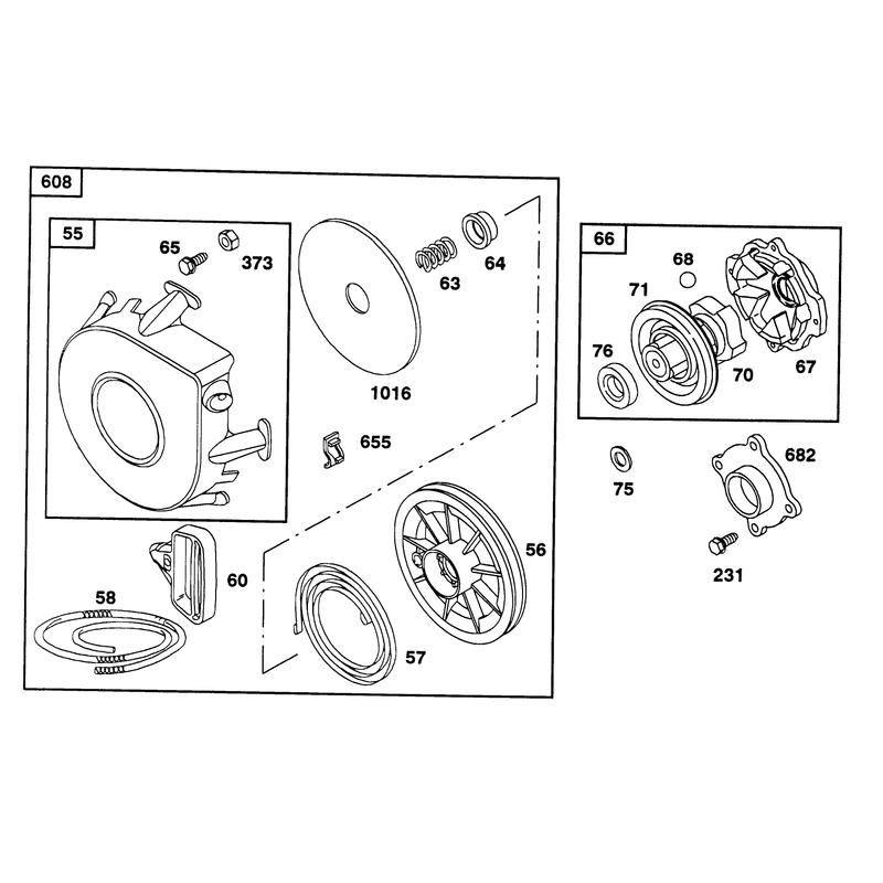 Engine Briggs & Stratton Models 252416-0756-01 & 252416-0757-01