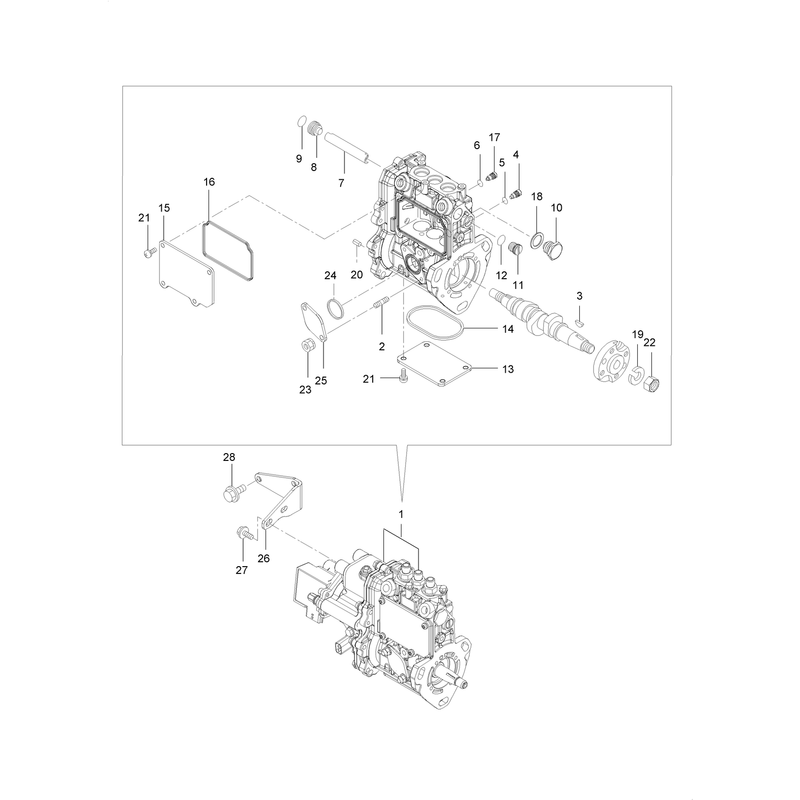 Fuel Injection Pump Assembly