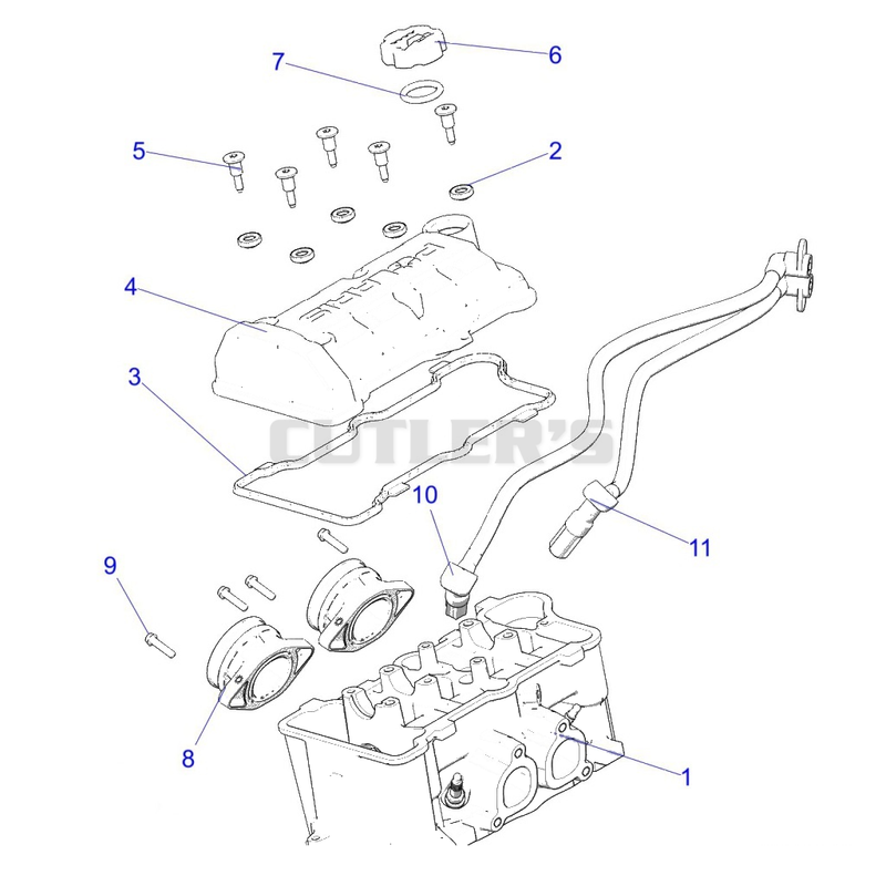 Engine, Throttle Body and Valve Cover