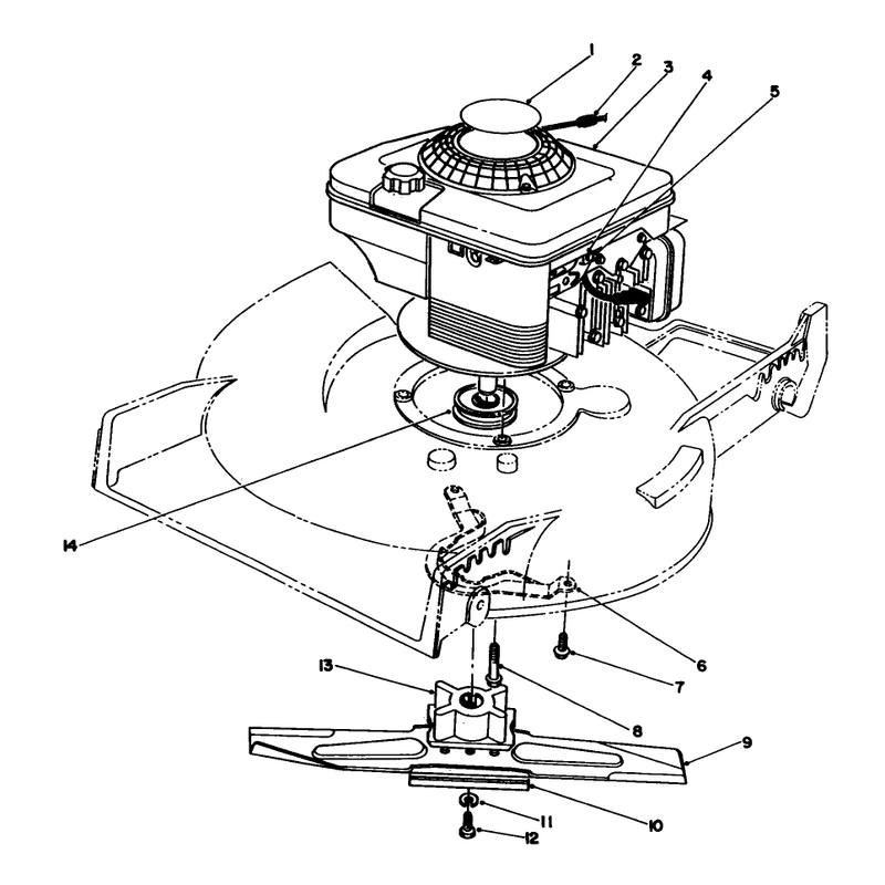 Engine Assembly