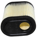 Tecumseh 36905 Air Filter