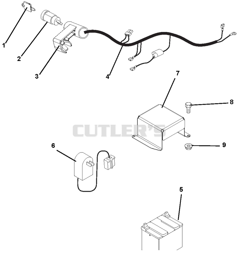Electrical Harness And Battery