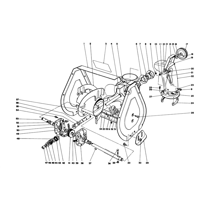 Auger Assembly