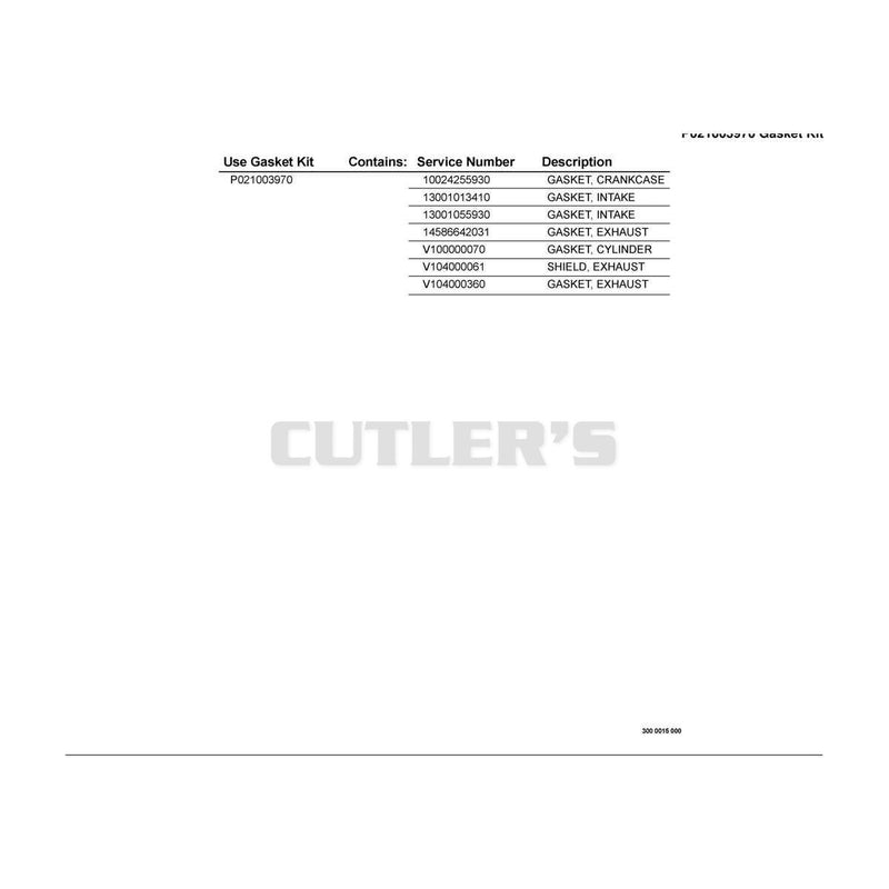 P021003970 Gasket Kit
