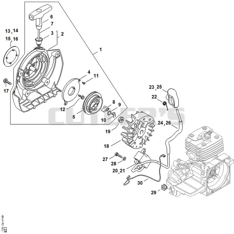 Rewind starter, Ignition system