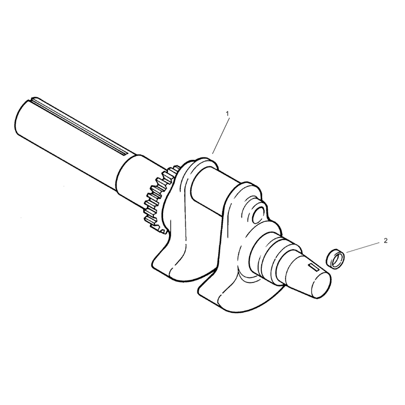 Group 1 Crankshaft Assembly Kohler CH20S-64684