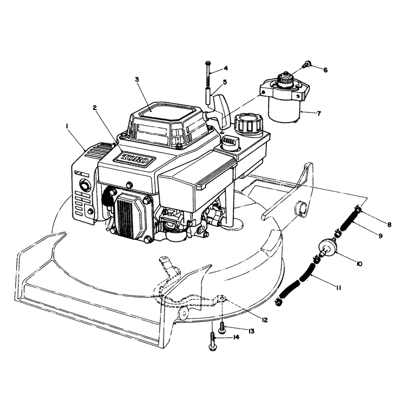 Engine Assembly