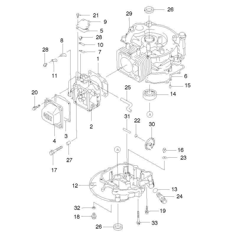 Cylinder and Crankcase Assembly