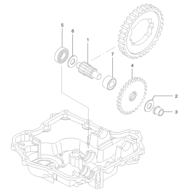 Gear and Pinion Shaft Assembly