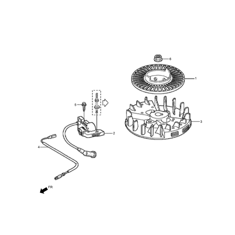 Flywheel and Ignition Coil Assembly