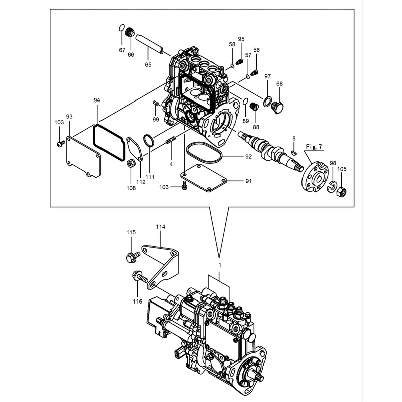 Fuel Injection Pump Assembly