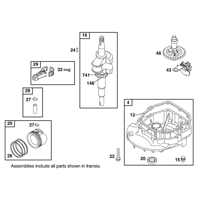 Crankshaft Assembly Engine GTS 200 Only on Model 20791