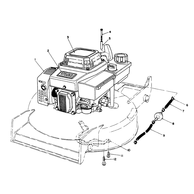 Engine Assembly
