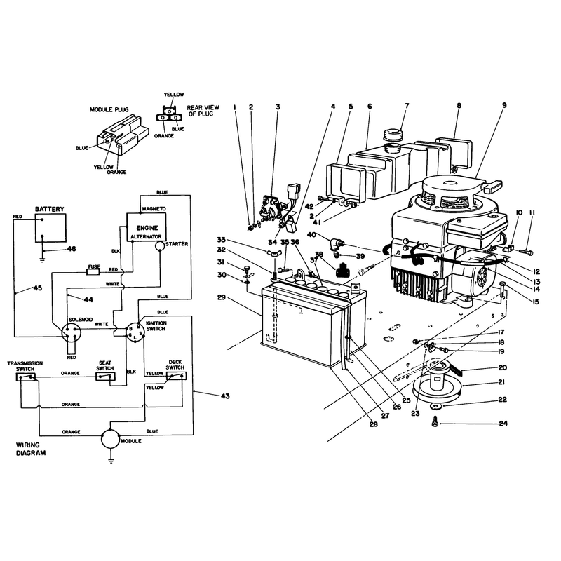 Engine Assembly