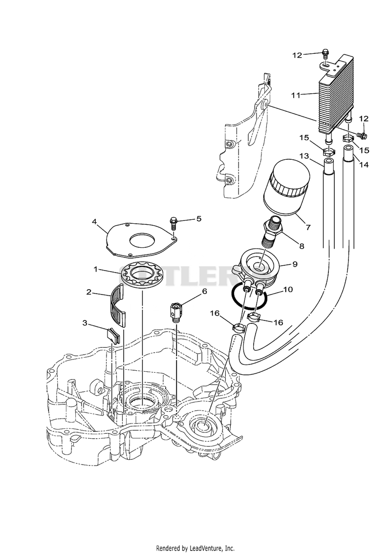 Oil Cooler