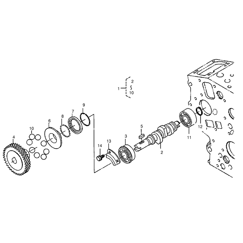 Fuel Camshaft Assembly