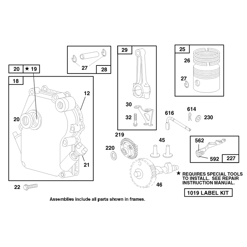 Engine Briggs and Stratton Model 135202-0263-01