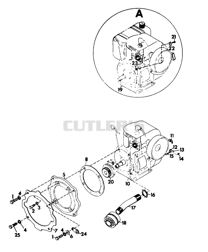 ENGINE AND EXHAUST SYSTEM