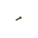 Ariens 07412400 Gravely Walk-behind Mower Self-tapping Screw (white background)