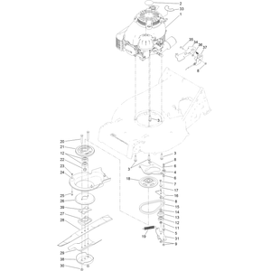Engine Assembly