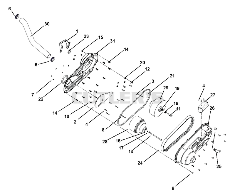 Drive Belt Assembly